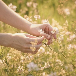 Логотип @gracefromheaven - grace from heaven
