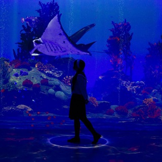 Логотип @grachevsky_cos - В тихом омуте Грачи водятся.