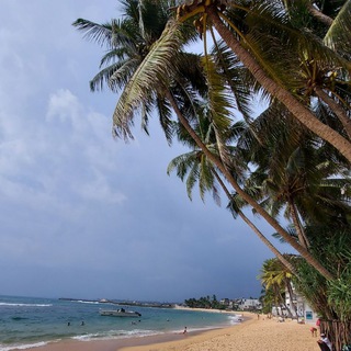 Логотип @gradusleta - Градус Лета