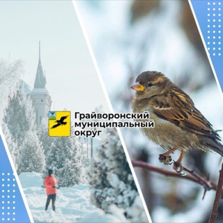 Логотип @graivoron - Грайворонский муниципальный округ