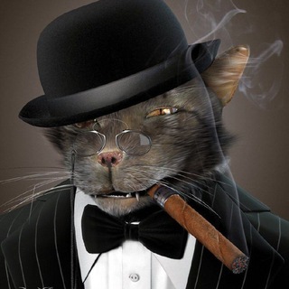 Логотип @grajdaninmoldovi - Гражданин 🇲🇩