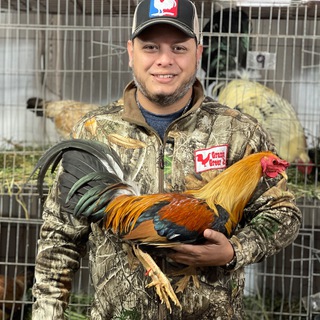 Granja Greer 🇲🇽