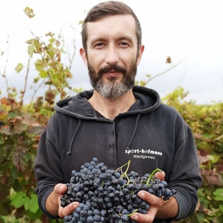 Логотип @grape_anapa_public - grape_anapa_public