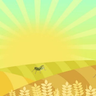 Логотип @grasshopperfarm - Grasshopper Farm