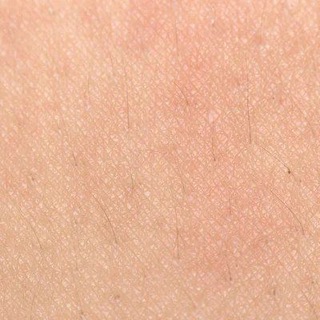 Логотип @greatukrtattoo - GUT | Great Ukrainian Tattoo