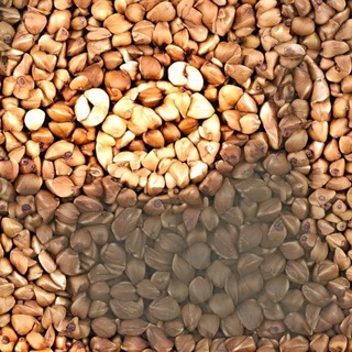 Логотип @grecha_fm - Grechka.fm