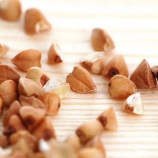 Логотип @grechkachannel - Grechka Channel