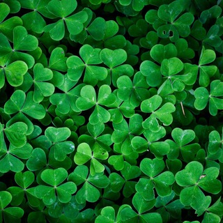 Логотип @green_chat63 - ЭКОМАРКЕТ В 📲