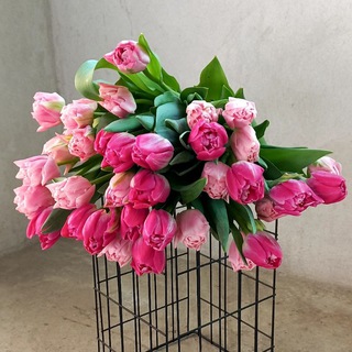 Логотип @greenastra_30 - GREENASTRA