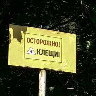 Логотип @greenbel_comments - Обсуждения материалов Зелёного портала