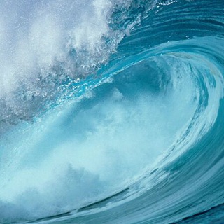 Логотип @greenishcommunity - ICO discussion