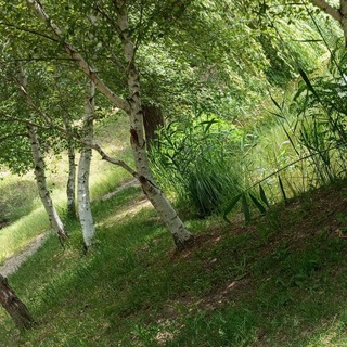 Логотип @greenwitch2023 - ✨🌿 GREEN 🌿✨