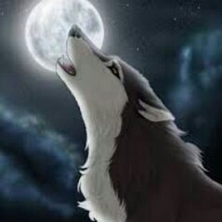 Логотип @greywolfkr - Greywolf KR