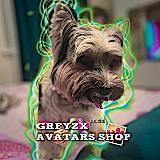 Логотип @greyzx22 - .