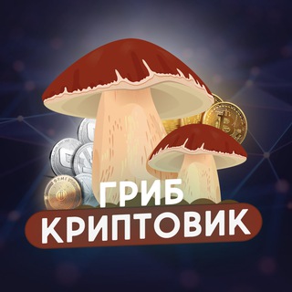 Логотип @gribb_criptovik - Гриб Криптовик 🍄
