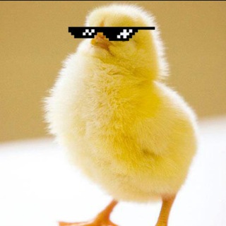 Логотип @gribocheck_tv - Gribocheck_tv