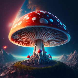 Логотип @gribsbor - Грибной сбор