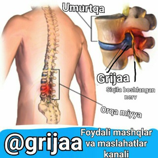 Логотип @grija_churraa - GRIJA KASALIGA SHIFO IZLOVCHILAR