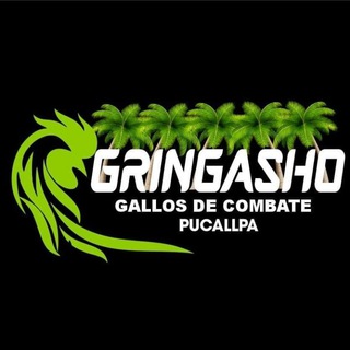 Логотип @gringashopeleas2022 - GRINGASHO GALLOS DE COMBATE...🐓🔥🐓