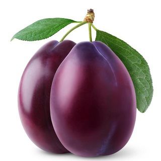 Логотип @grodnosliv - Гродненские сливы - новости Гродно