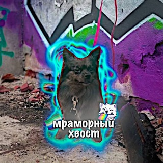 Логотип @grokdacymka - Мᴩᴀʍᴏᴩный хʙᴏᴄᴛ🥷