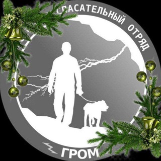 Логотип @grom_poisk - АООО ПСО "ГРОМ"