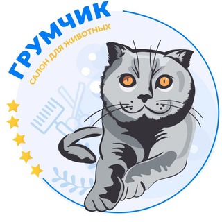 Логотип @groom_chik - Красивая стрижка собак и кошек Лицензированная школа Груминга Ростов-на-Дону ГрумЧик🥇Кошки, Собаки, путешествия, юмор, мнение😅