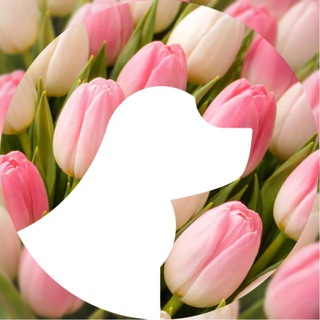 Логотип @groombelomorskaya - GROOM Левобережный