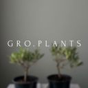 GRO.PLANTS - растения Казань 🌿