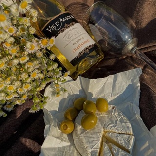 Логотип @grosulva - Кино под Вино