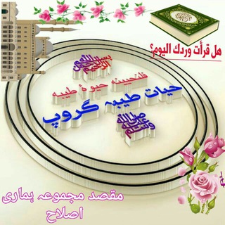 Логотип @group_hayatetayiba_hamari_islah - 🌺حیاتِ طیبہ گروپ
