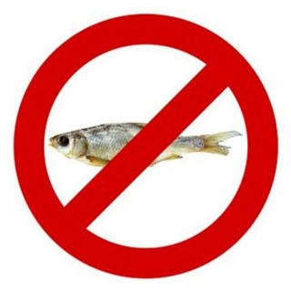 Логотип @group_netvoble - VOBLA