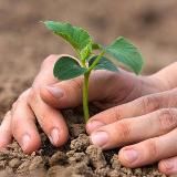 Логотип @growpic - growpic