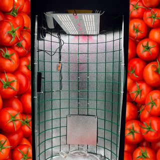 Логотип @growtuberu - GrowTube.ru