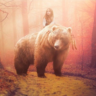 Логотип @growyourselfinsex - Размышления Медведя