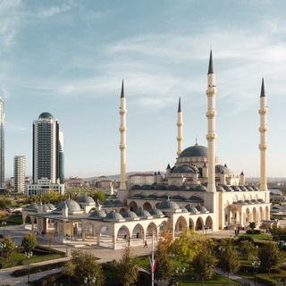 Логотип @grozny_crazy - Грозный | Новости | Происшествия