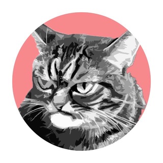 Логотип @grumpy_chat - Grumpy Chat