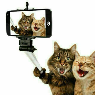 Логотип @grupani_dodasiga_marhamat - DaVaY_DoStLaShaMiz