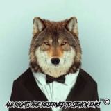 Логотип @gruppo_ufficiale_telegram_stehcw - Gruppo Ufficiale Telegram SteHCW EnKi