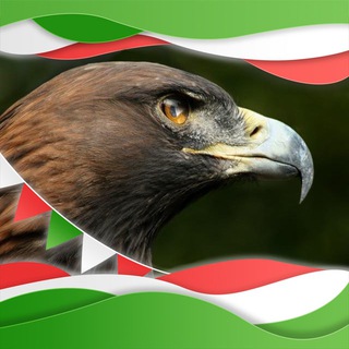 Логотип @gruppoaquilarealecommunity - Gruppo - AquilaRealeCommunity