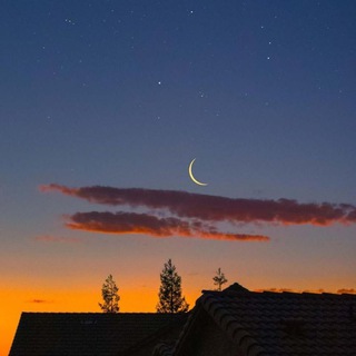 Логотип @grustnievideoipesni - Цитаты 🕊 Видео и песни💔