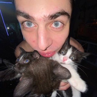 Логотип @grustniychat1k - Котик, но не грустный Chat