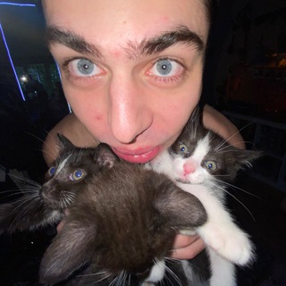 Логотип @grustniykot - Котик, но не грустный