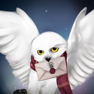 Логотип @gs_kyiv_hpwu - 🦉HP:Wizards Unite Kyiv