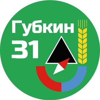 Логотип @gubkin31rus - Губкин 31