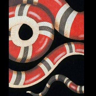 Логотип @guccibellaci - GUCCI |
