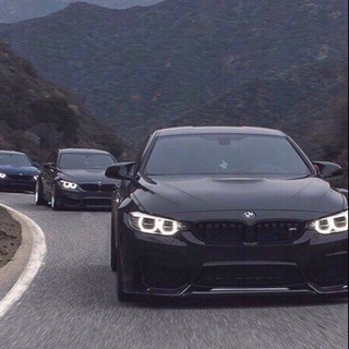 Логотип @guccimusic14 - 1Guccimusic♚