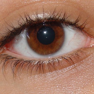 Логотип @gulagdigital - Цифровой геноцид