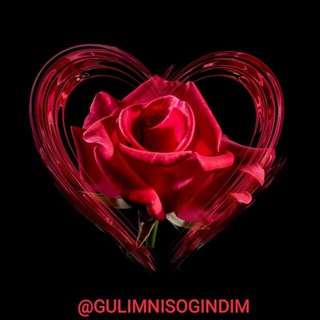 Логотип @gulimnisogindim_chat - ❤Gulimni sog'indim❤ chat