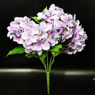 Логотип @gullar_saroyi - Gullar Saroyi